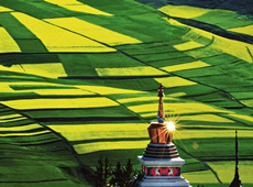 雅酷小龙女佛教摄影作品