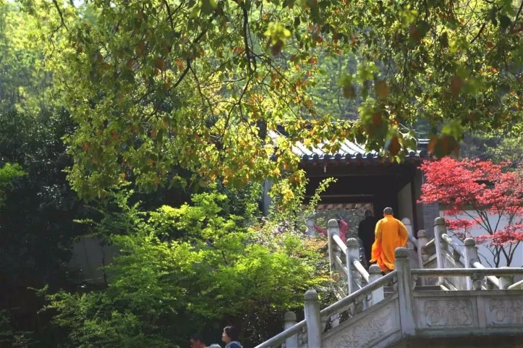 佛教这六句话,句句精华,再忙也要看看! 佛教这六句话,句句精华,再忙也要看看!