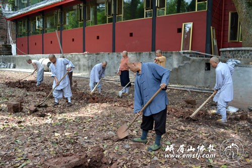 报国寺僧众出坡劳动