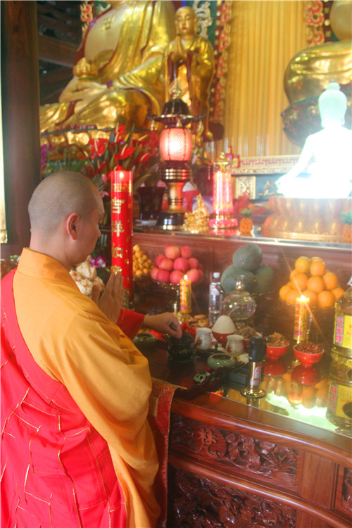 厦门佛教在线 厦门佛教在线