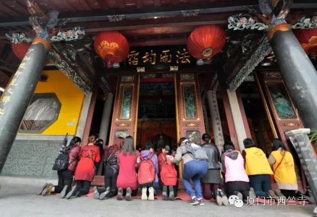 厦门佛教在线 厦门佛教在线