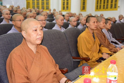 厦门佛教在线-{Title}