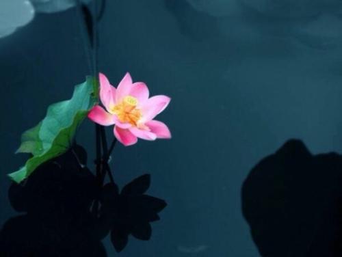 高科技代替了人力,未来人类该何去何从