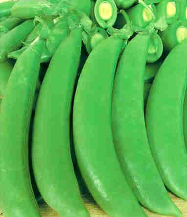 暖春时节多吃豆