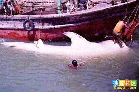 点击图片可在新窗口打开