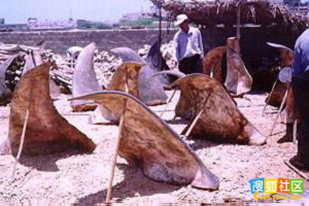 点击图片可在新窗口打开