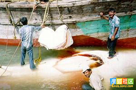 点击图片可在新窗口打开