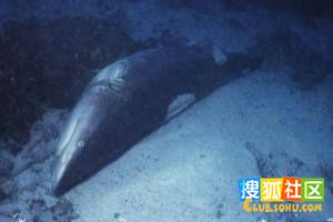 点击图片可在新窗口打开