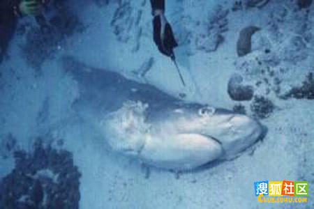 点击图片可在新窗口打开