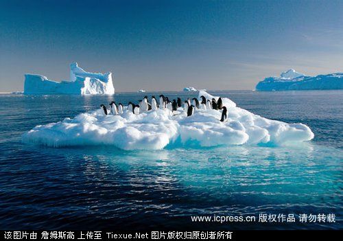 点击图片可在新窗口打开