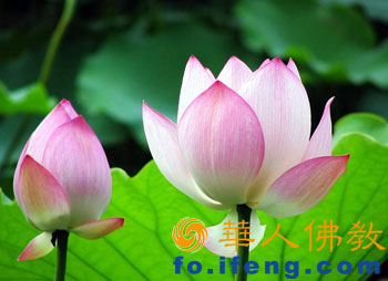 点击图片可在新窗口打开