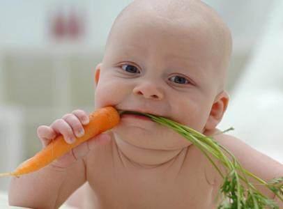 刘德华全家吃素,宝宝素食可以吗? 刘德华全家吃素,宝宝素食可以吗?