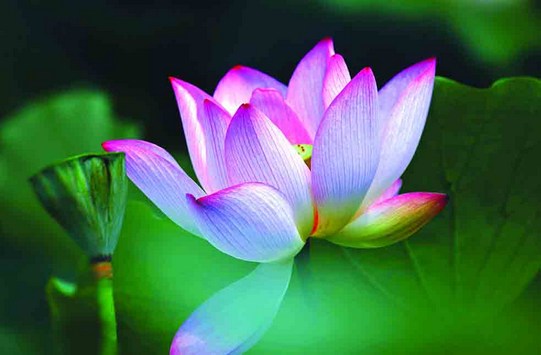 别让福气迷了眼