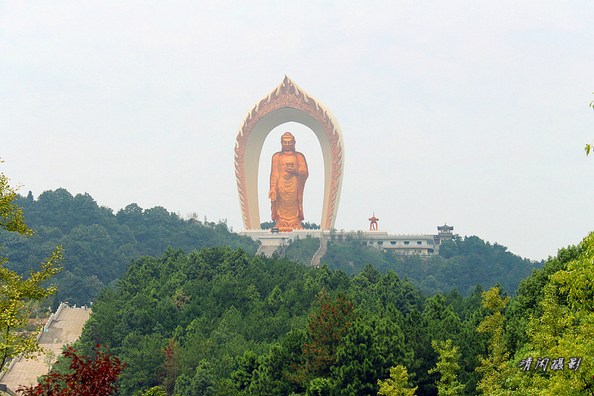 专一礼阿弥陀佛,为专精一致