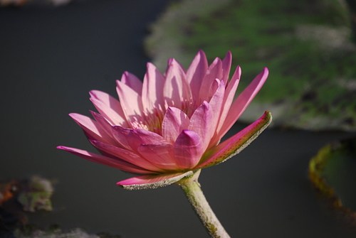 唯识的思想有三个重点