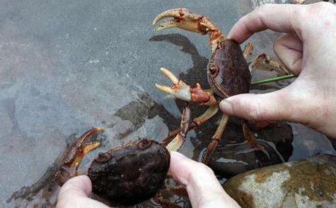 一次事后想来很奇异的放生螃蟹中的遇仙经历 一次事后想来很奇异的放生螃蟹中的遇仙经历