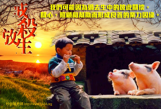 佛教杀生的定义和范围是什么? 佛教杀生的定义和范围是什么?