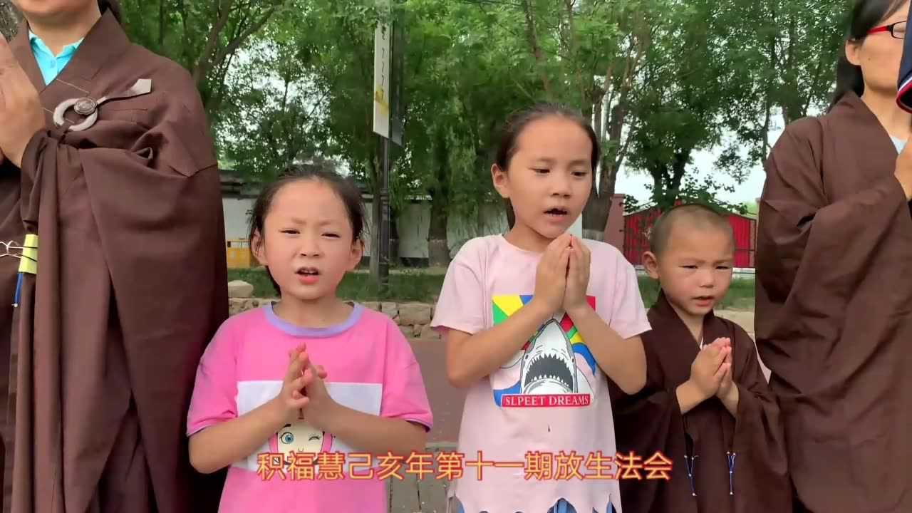 Thumbplayer Poster Plugin Image