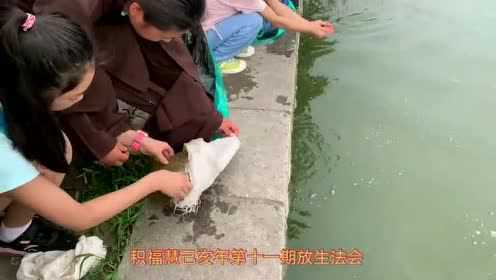 Thumbplayer Poster Plugin Image